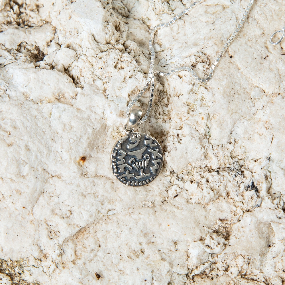 Grape Leaf Coin Pendant Necklace in 925 Sterling Silver, Oxidized – flat lay